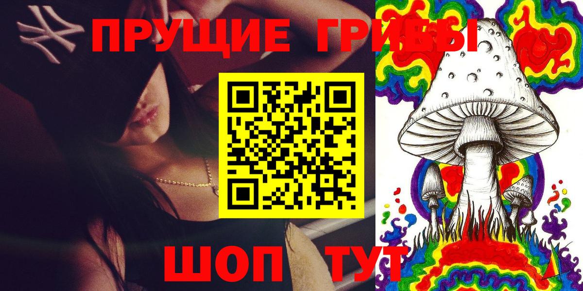 Галлюциногенные грибы Psilocybine cubensis Тара