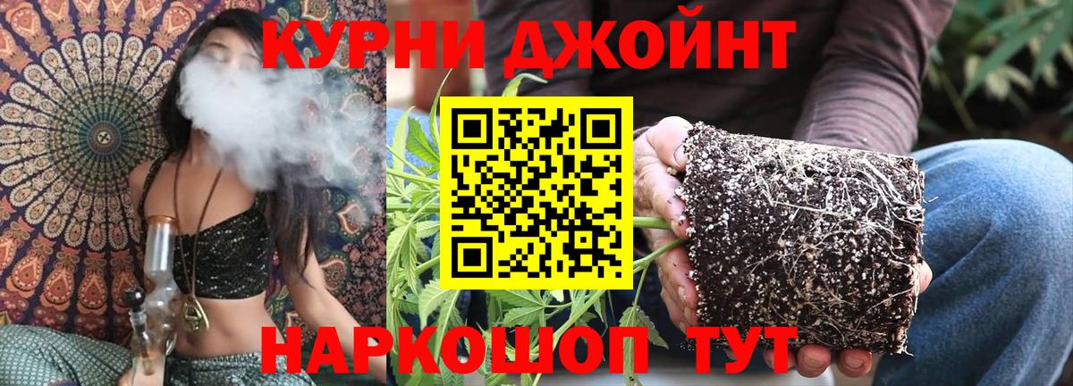 Бошки марихуана Bruce Banner Тара